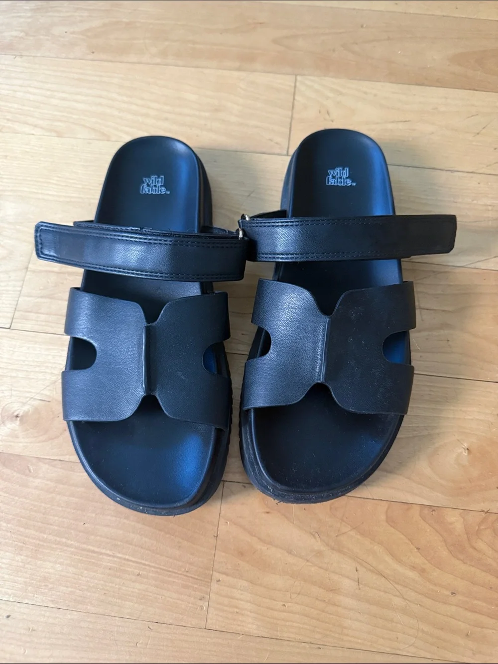 wild fable sleek black